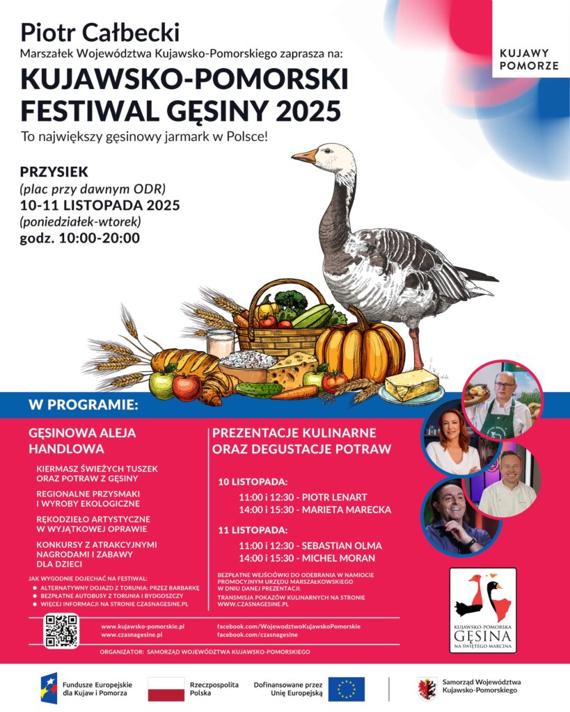 plakat festiwal gesiny 2025