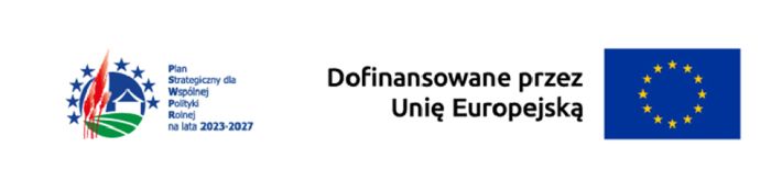 Logo dofinansowanie