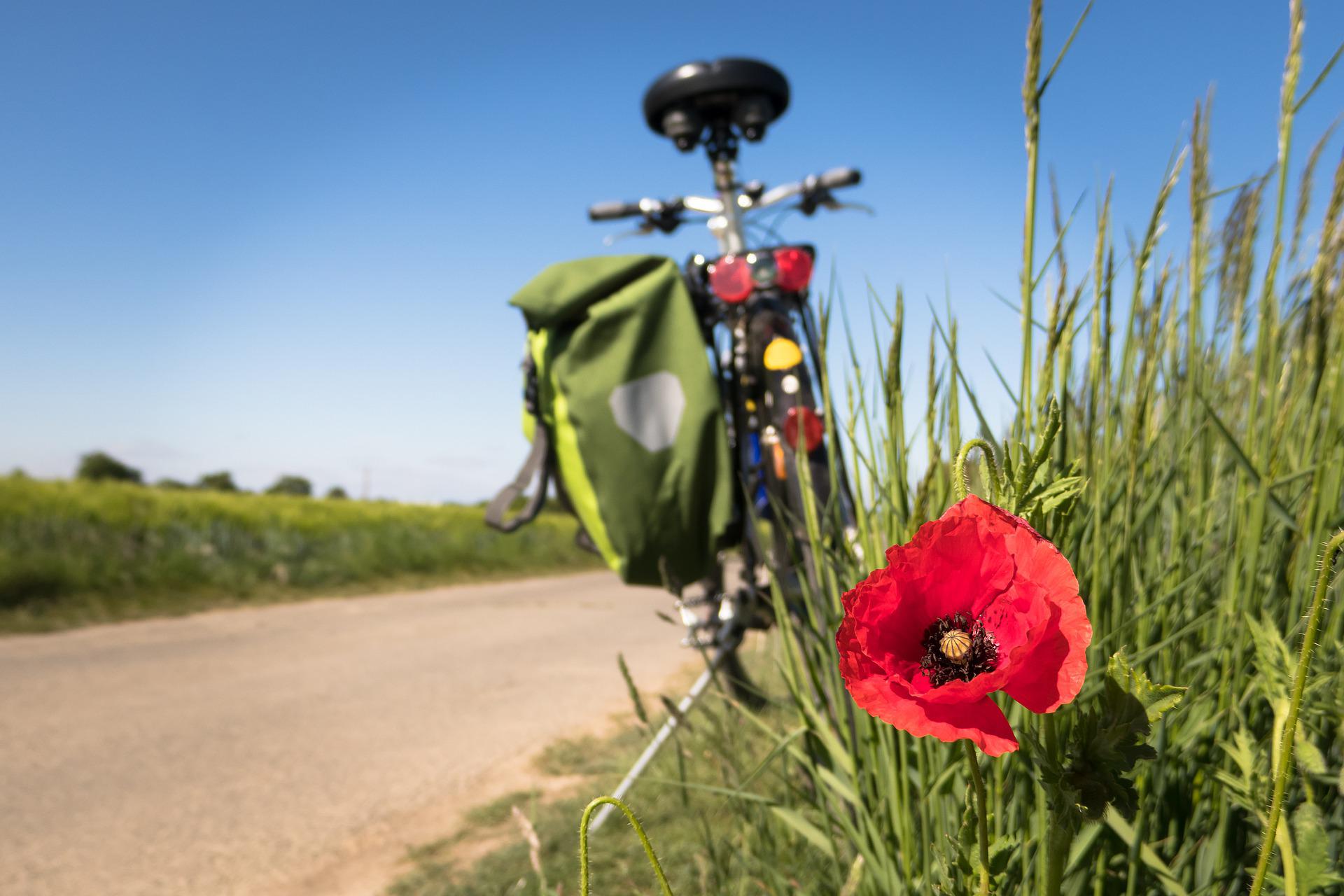 biking