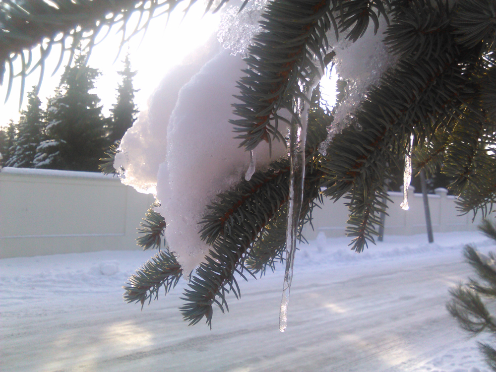 Kilanowska Zima (1) Wąbrzeźno 23.01.2016